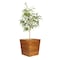 Whitecap Large Planter Box WT63104 - alternate 1